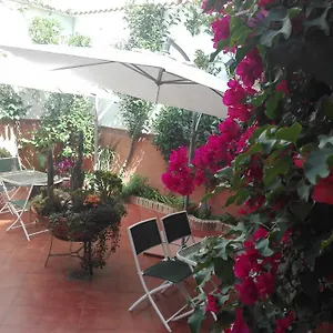 Turisticos Embrujo De Azahar Appartement